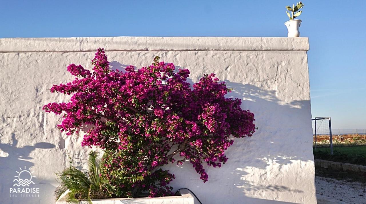 Paradise Sea Terrace Otel Monopoli Dış mekan fotoğraf