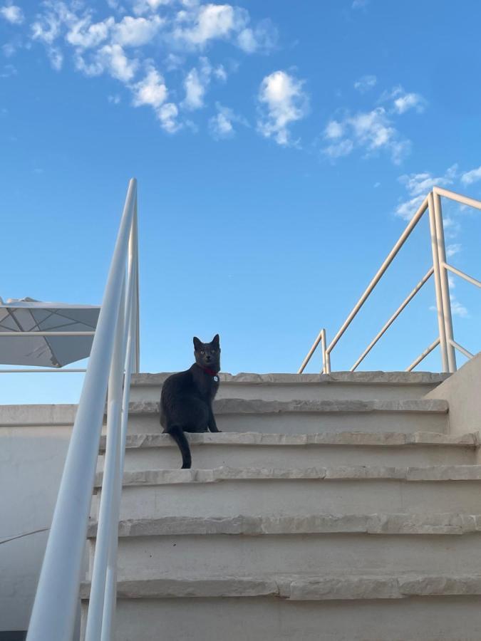 Paradise Sea Terrace Otel Monopoli Dış mekan fotoğraf